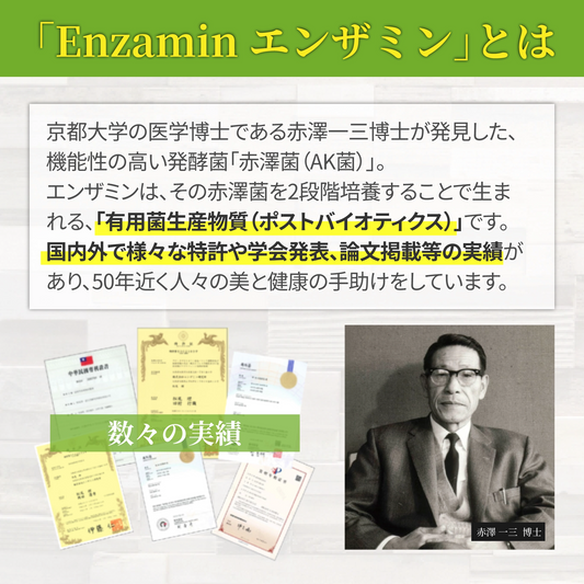 エンザミン スタンダードサプリ【120粒】